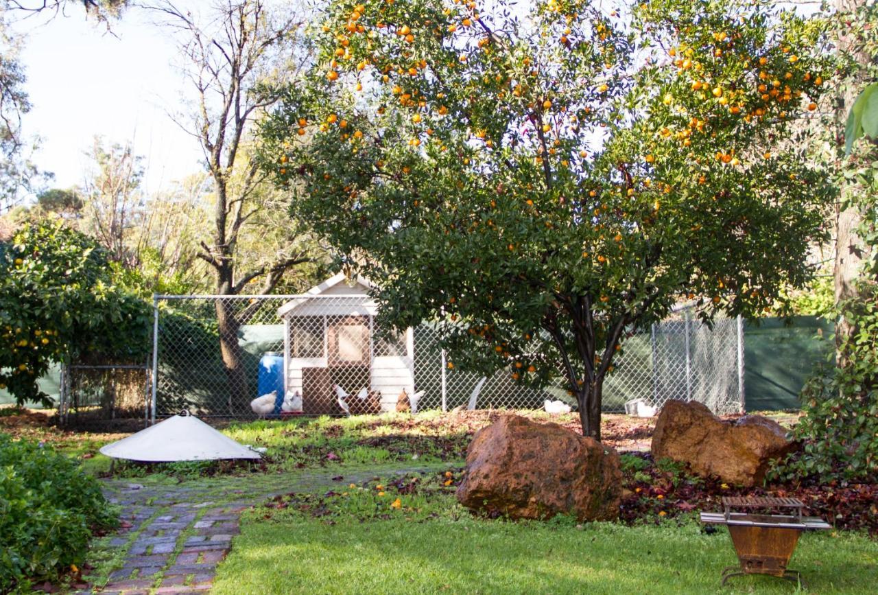 Farview Guest Accommodation Pickering Brook エクステリア 写真